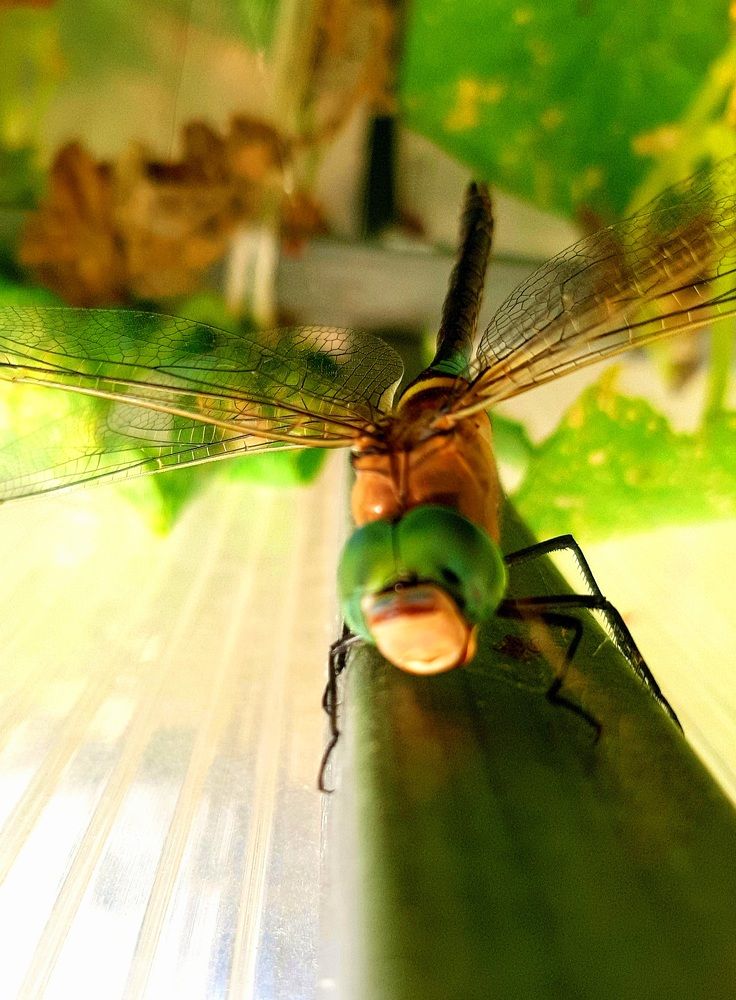 Photograph by Natalya Vasilenko