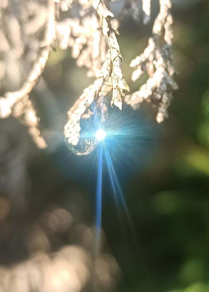 Photograph by Тихонова Ольга