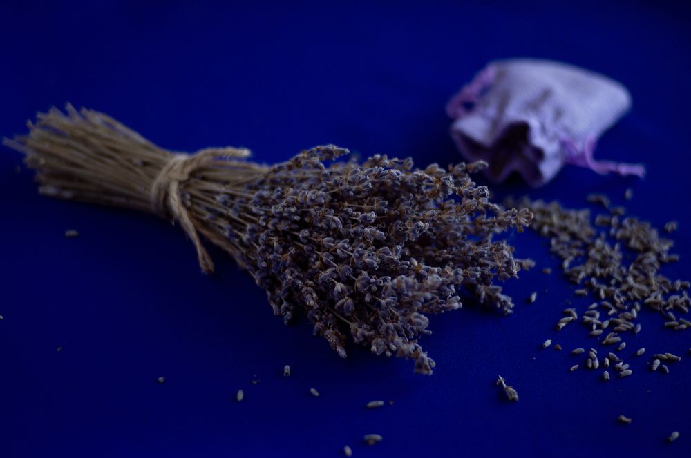 Photograph by Светлана Нестерова