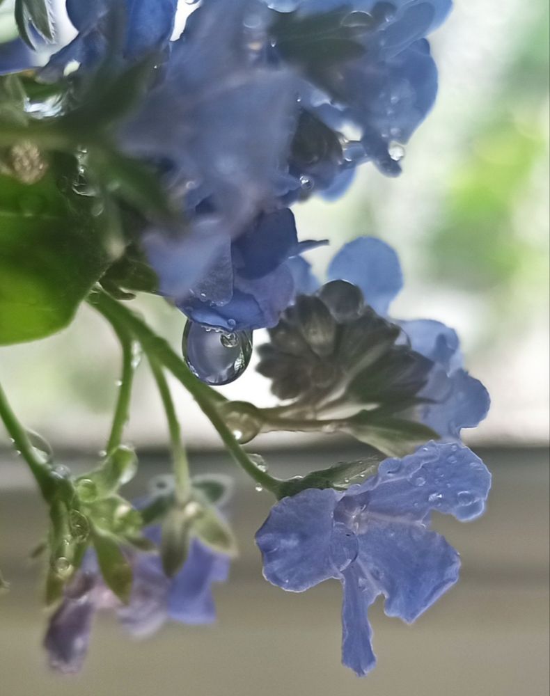 Photograph by Тихонова Ольга