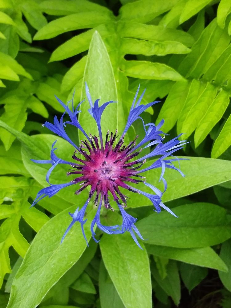 Photograph by Анастасия Кичигина