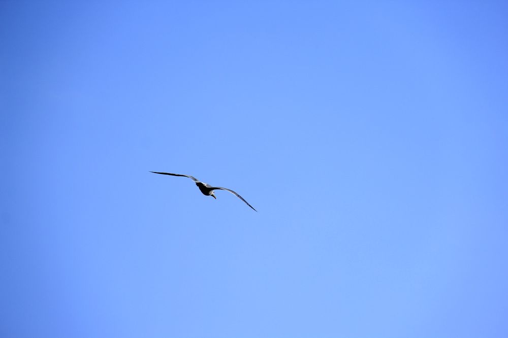 Photograph by Елена Титова