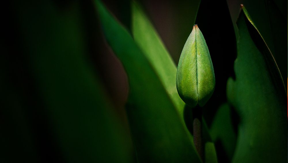 Photograph by Виктория Уварова