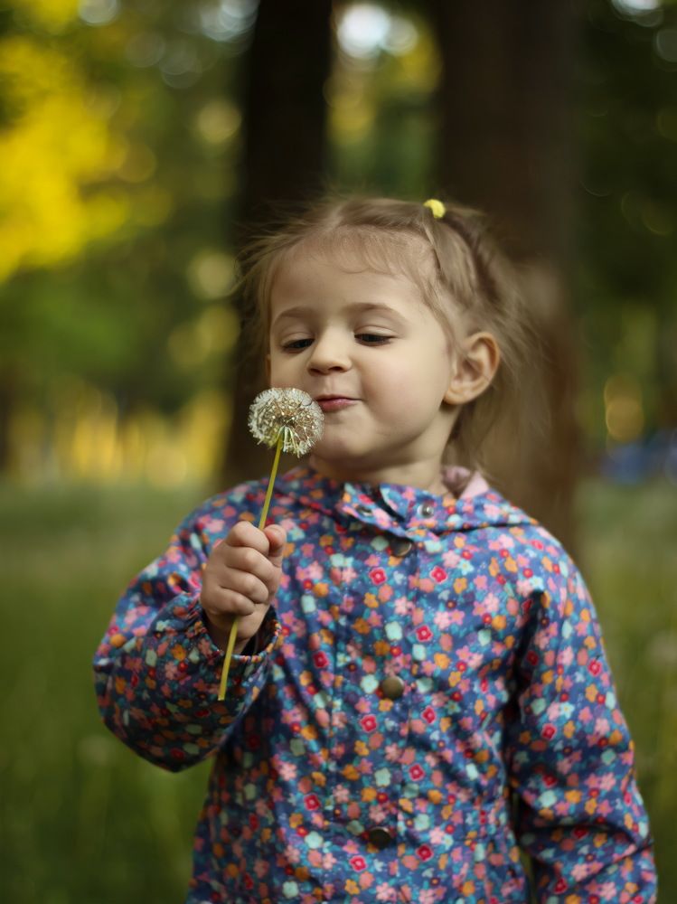 Фотография автора Аня