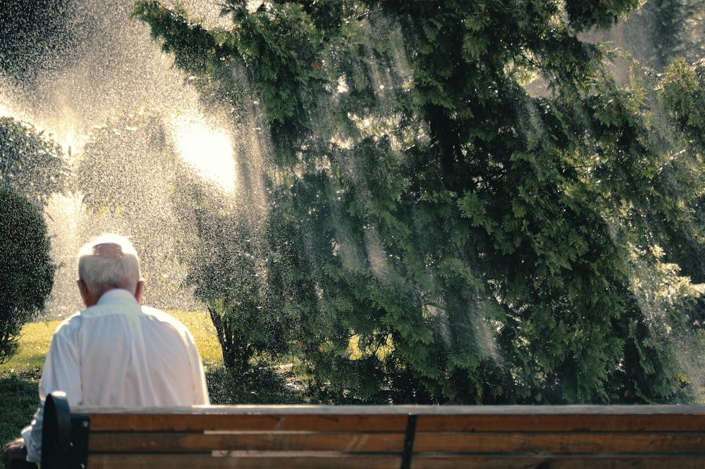 Photograph by Ника Варназова