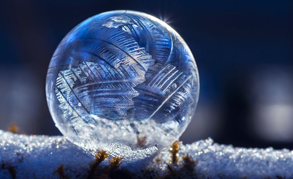 Photograph by Тараненко Анжелика