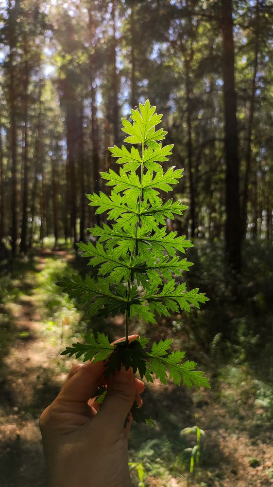 Photograph by Алия Аткельтирова