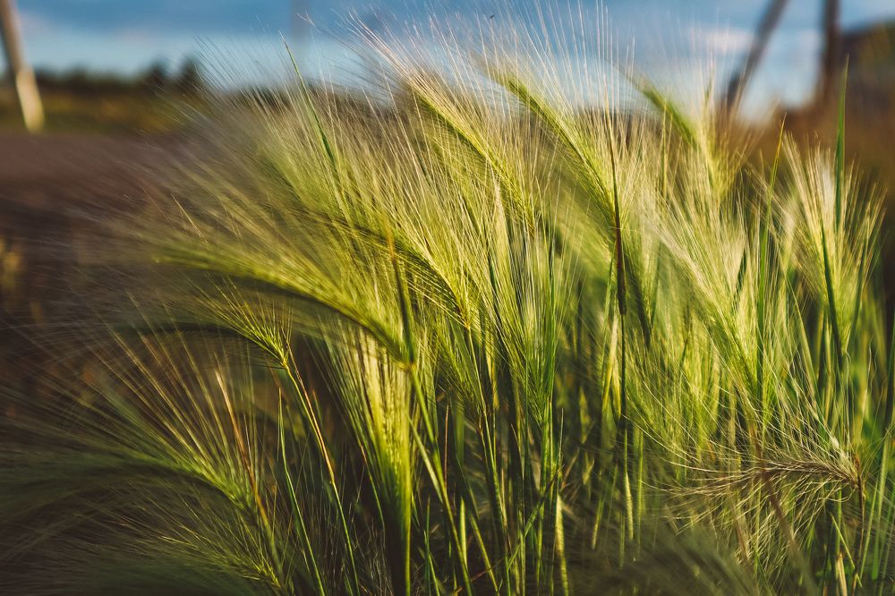 Photograph by Алия Аткельтирова