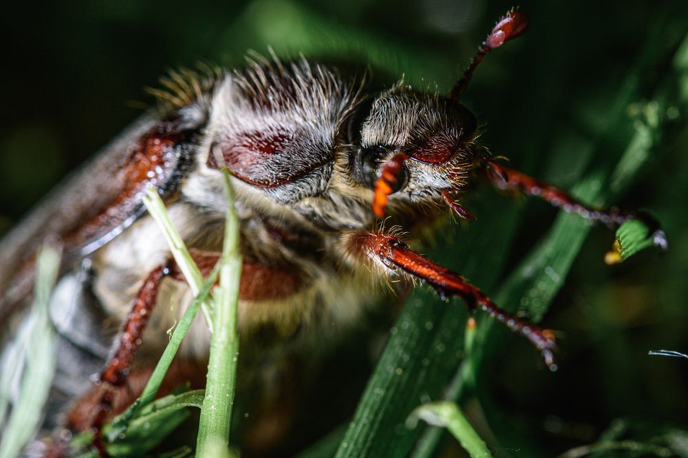 Photograph by Антон Бойков