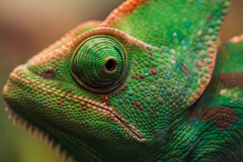 Photograph by Антон Бойков