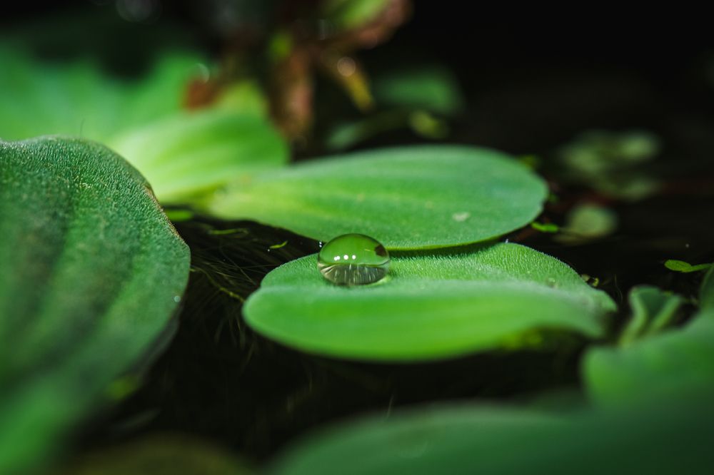 Photograph by Антон Бойков