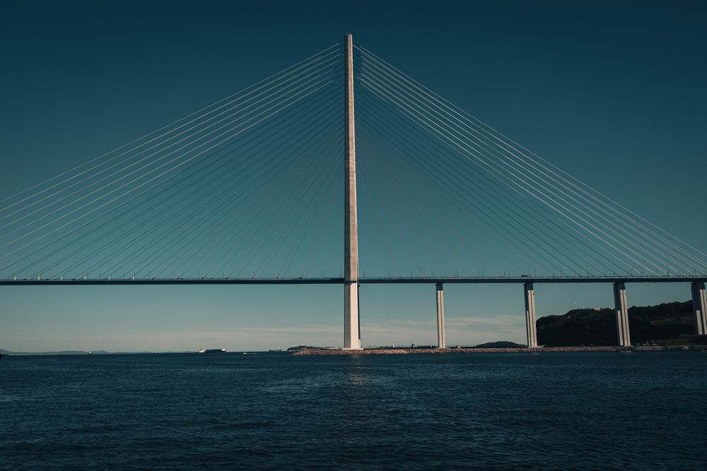 Единство линий