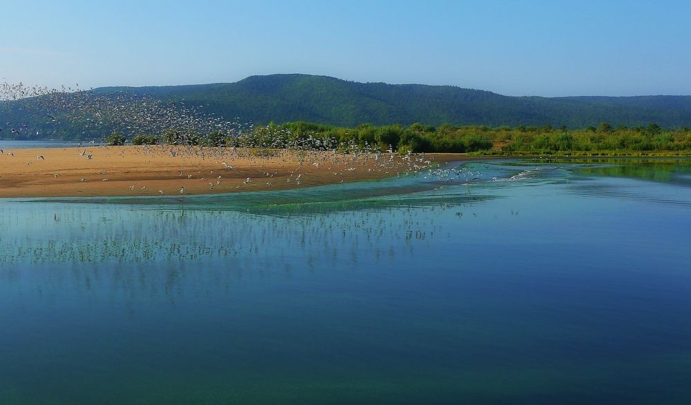 Photograph by Сергей Марков