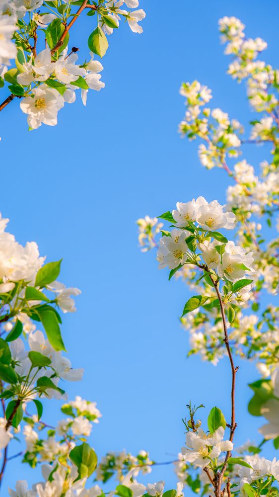 Photograph by Алия Аткельтирова