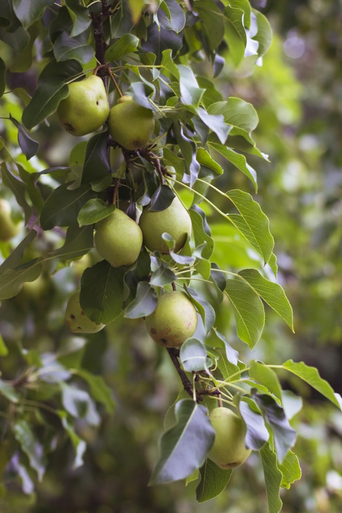 Photograph by Натали Кытманова