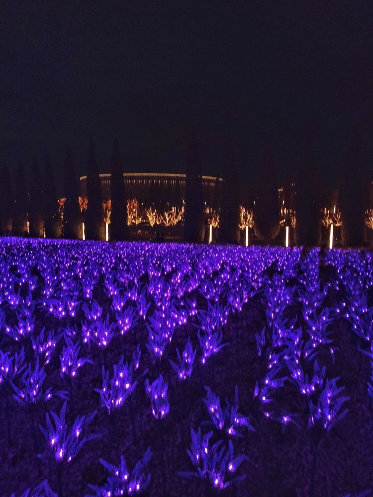 Photograph by Долгушева Татьяна