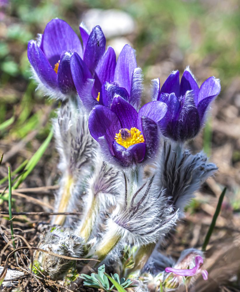 Photograph by Сергей Савчук