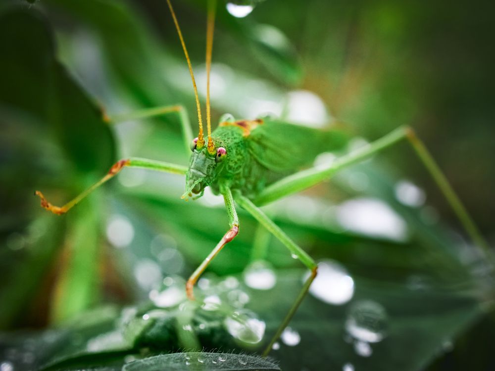 Photograph by Калёв Сергей