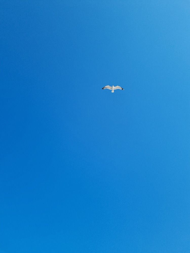 Photograph by Hanna Bourne