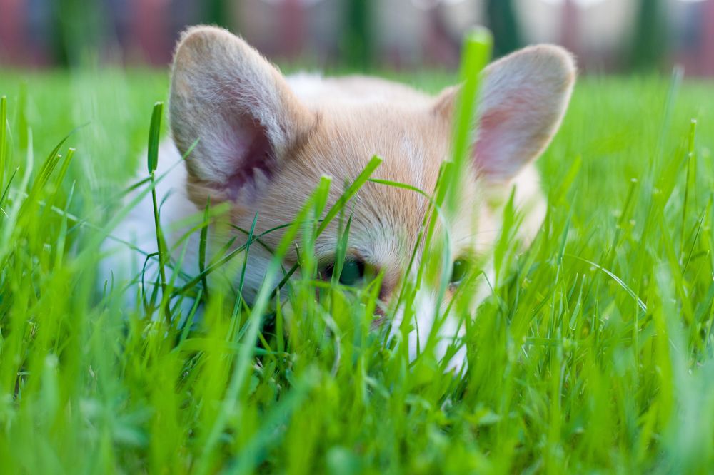 Photograph by Дмитрий Грошиков