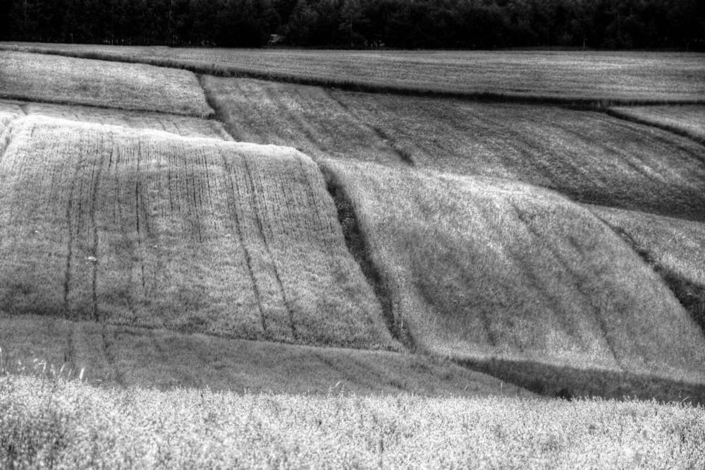 Photograph by Anna Banasiak