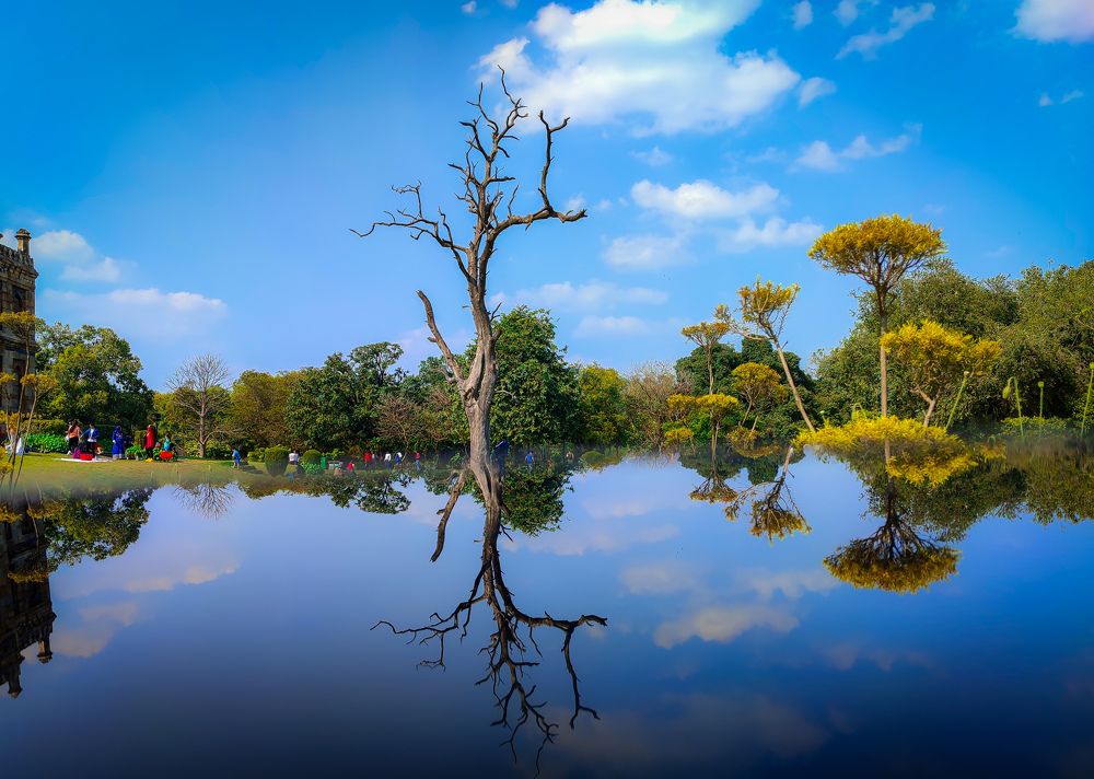 Photograph by HARSHIT MISHRA