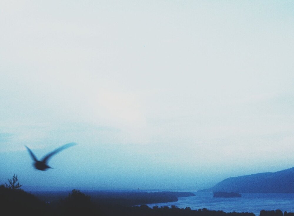 Photograph by Яна Зубкова