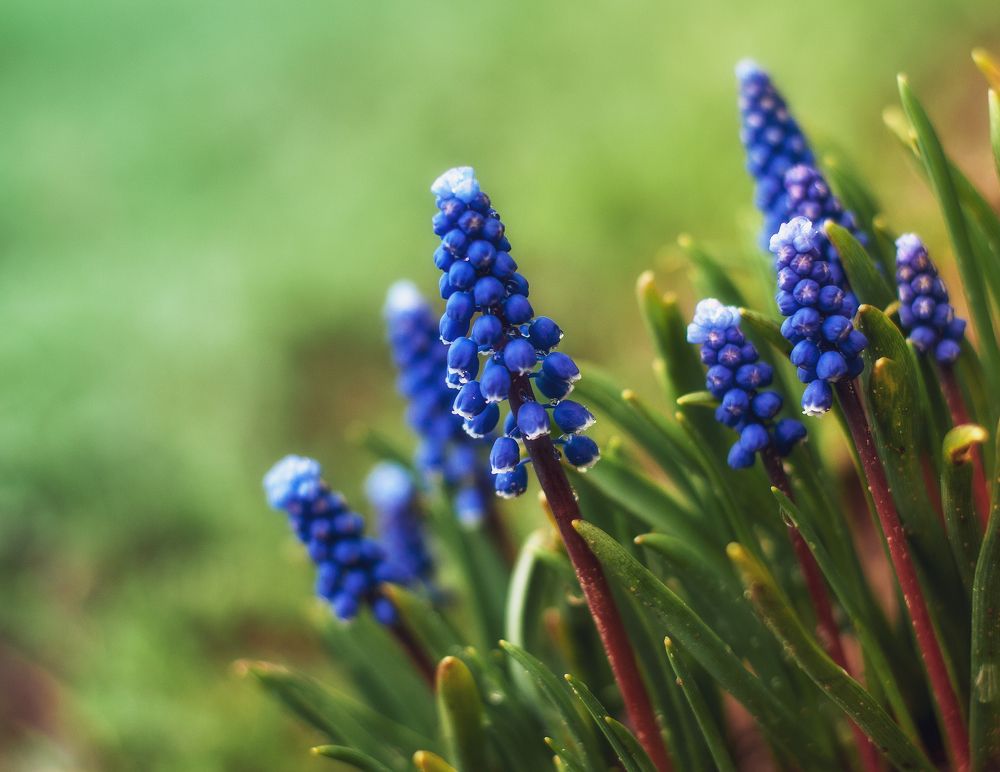 Photograph by Дарья Кончакова