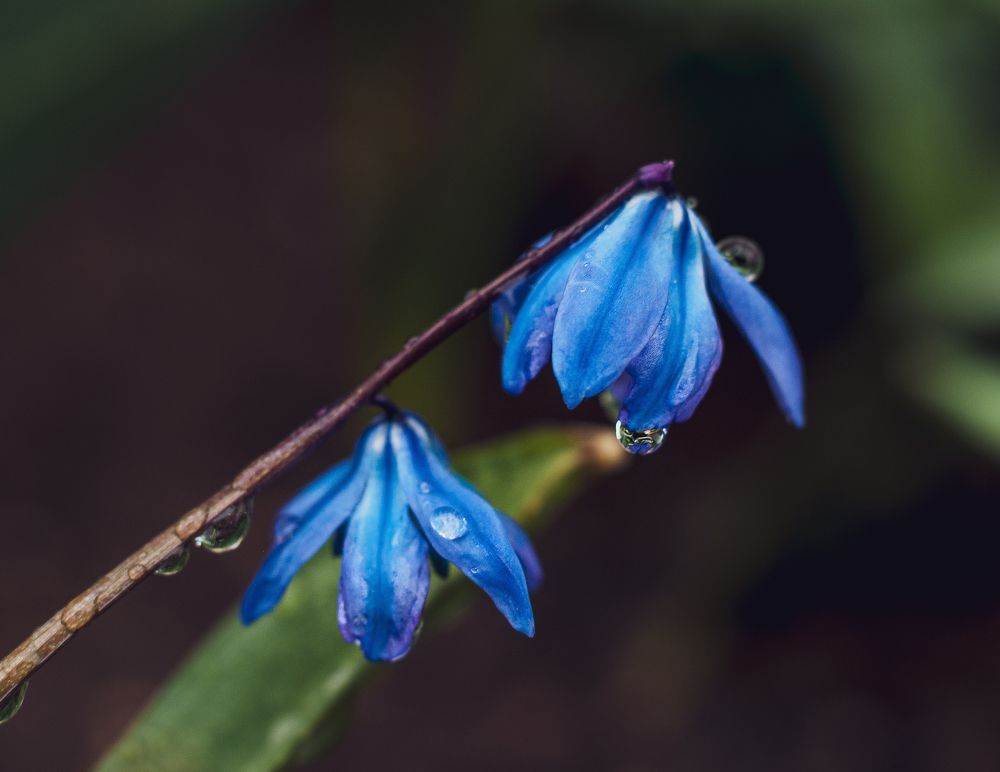 Photograph by Дарья Кончакова