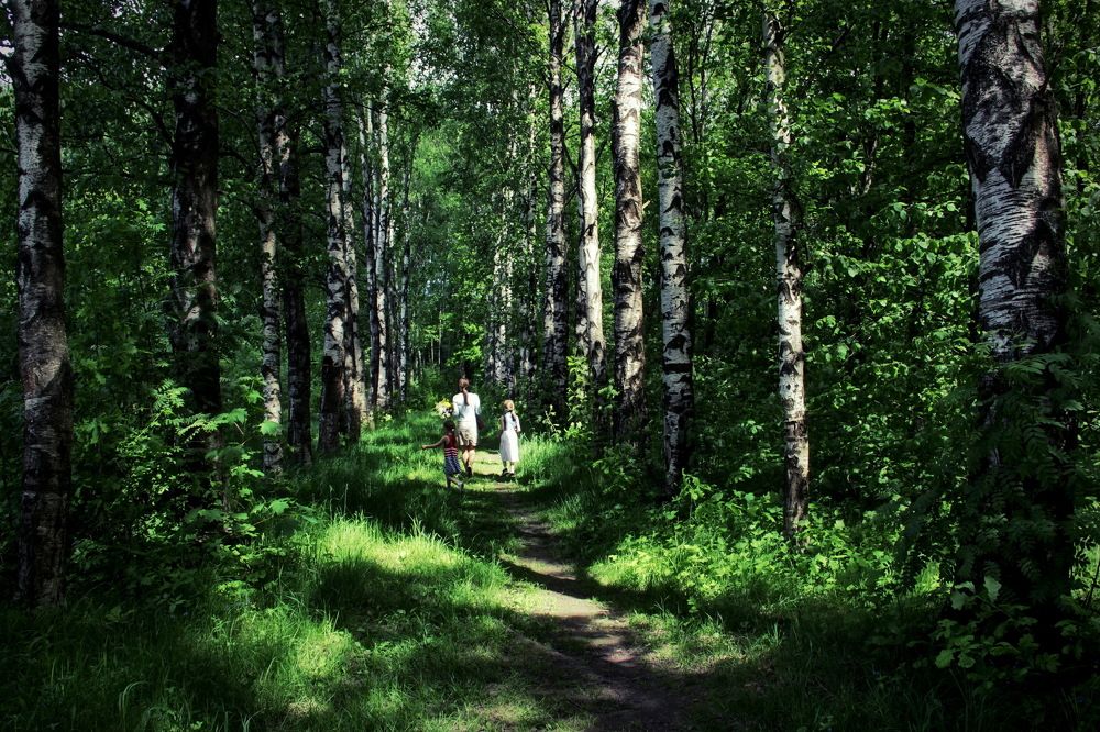 Photograph by Станислав Староверов