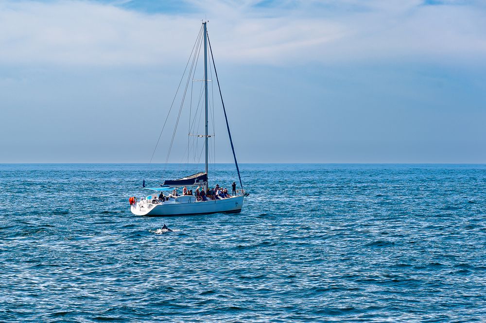 Photograph by Armando Lopez-Guerrero