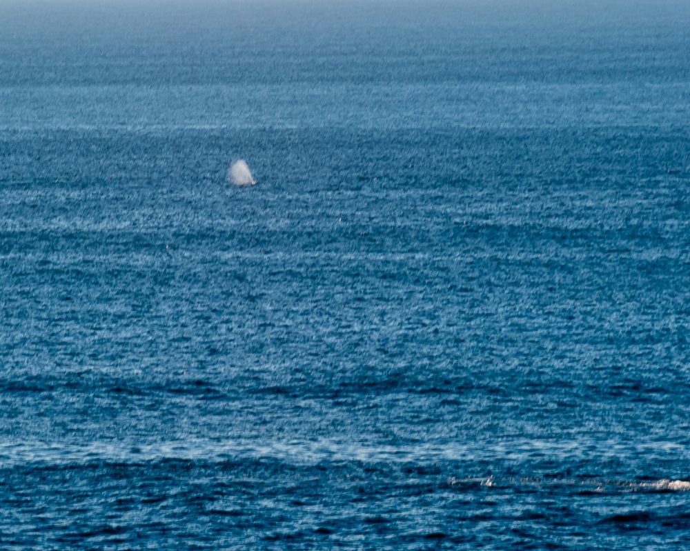 Photograph by Armando Lopez-Guerrero