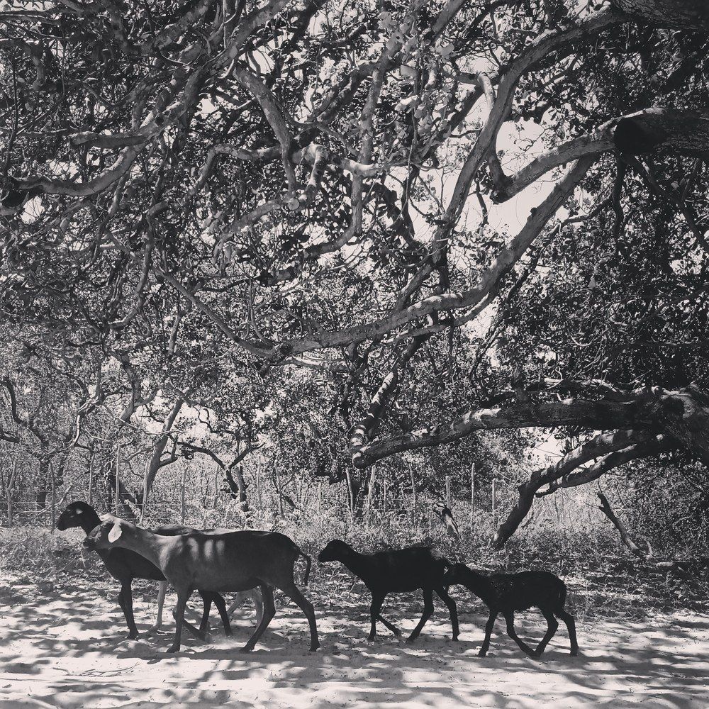 Photograph by Manu Kelé