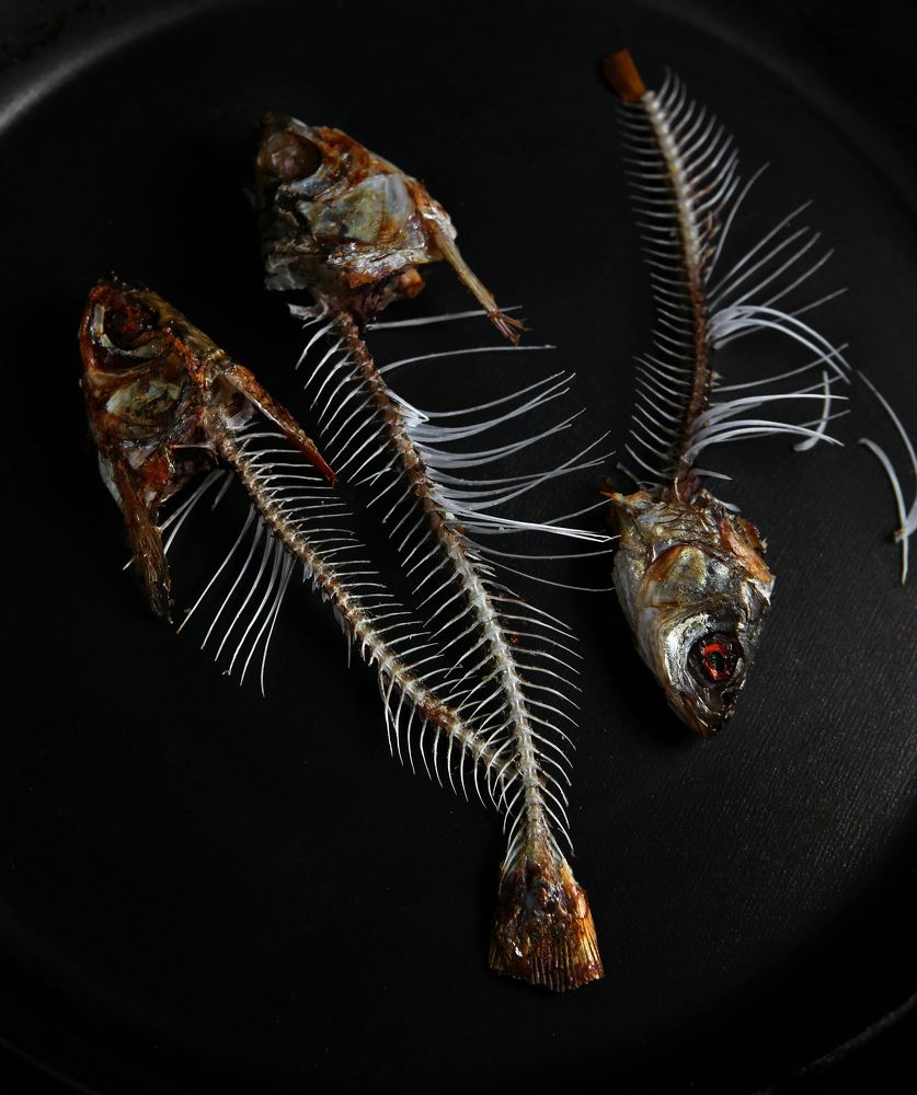 Photograph by Ольга Цветкова