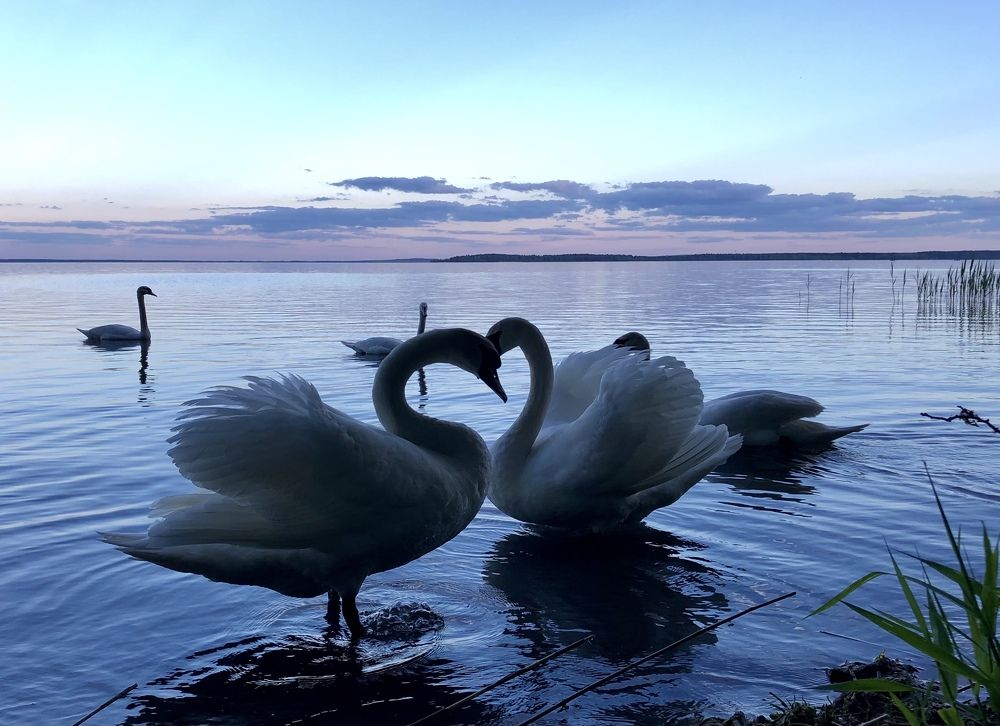 Photograph by Юлия