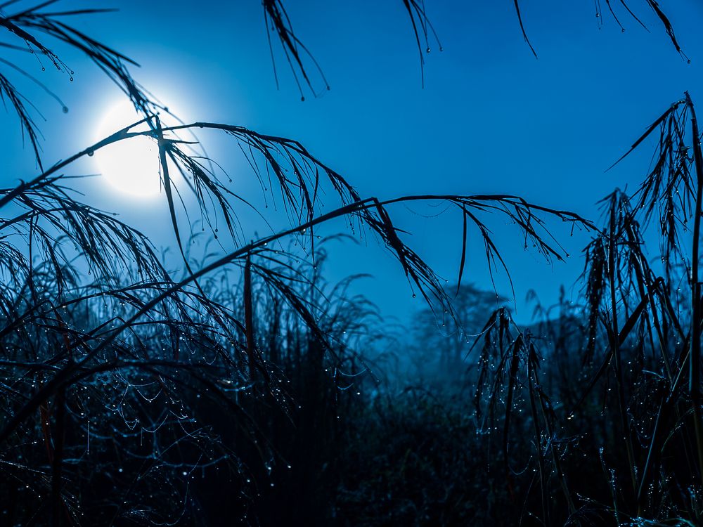 Photograph by Armando Lopez-Guerrero