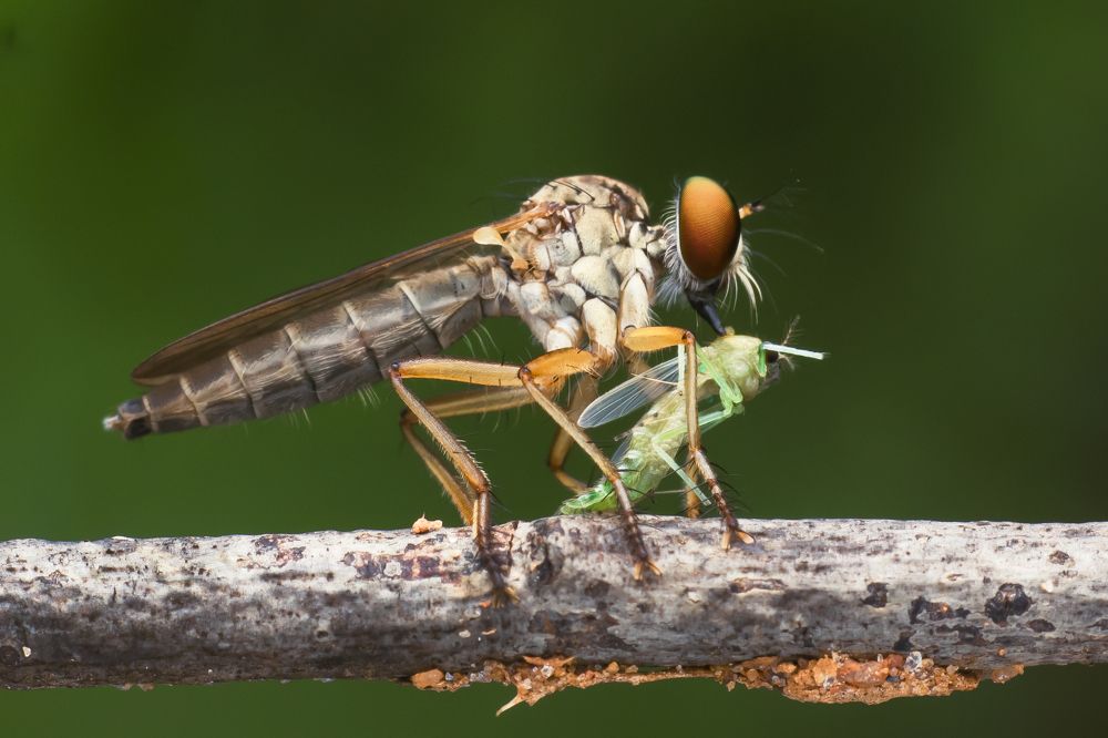 Photograph by Sumanta Dutta