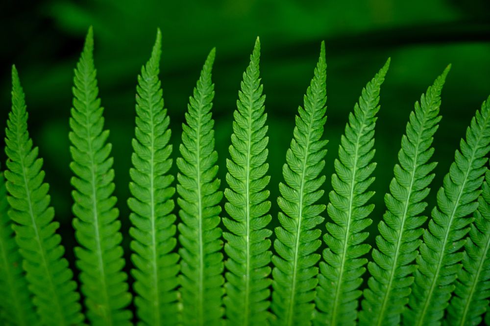 Фотография автора Андрей Васильев