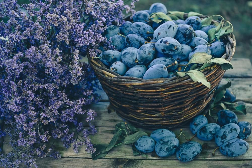 Фотография автора Билан Виктория