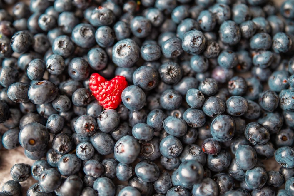 Photograph by Елена Володина