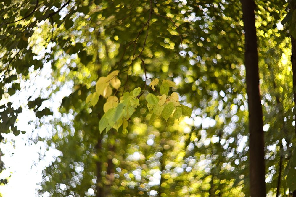 Photograph by Игорь Кад