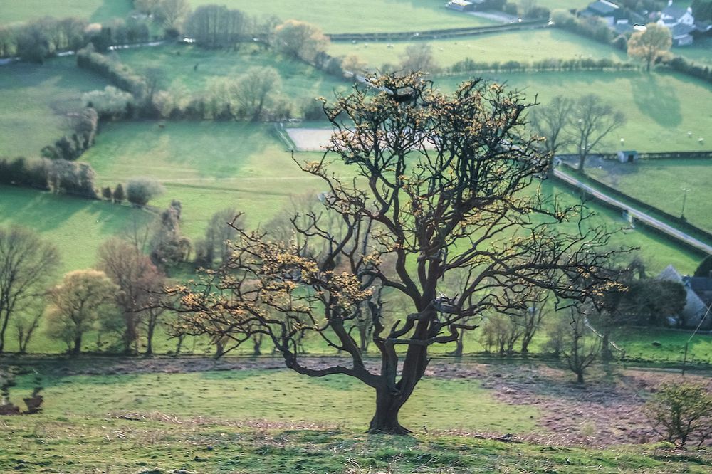 Photograph by Ирина Архипова