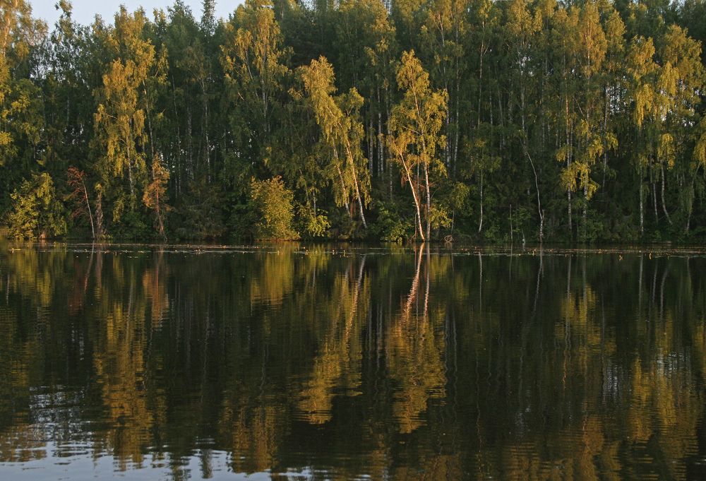 Photograph by Ирина Архипова