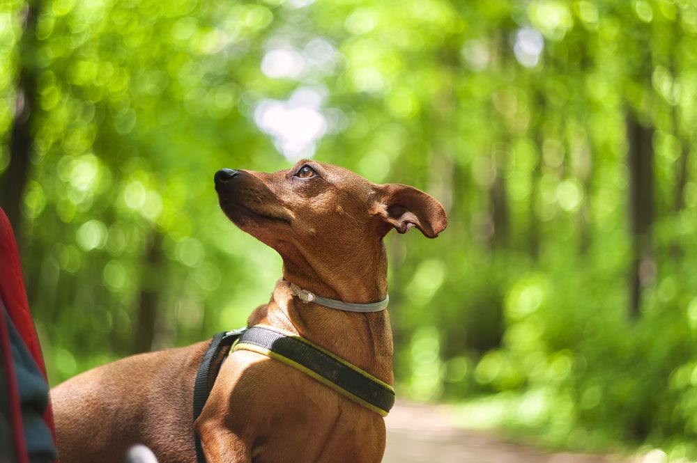 Photograph by Игорь Кад