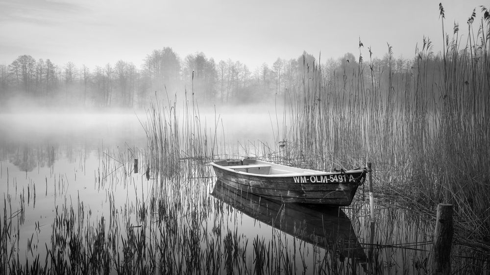 Photograph by Katarzyna Bochniak