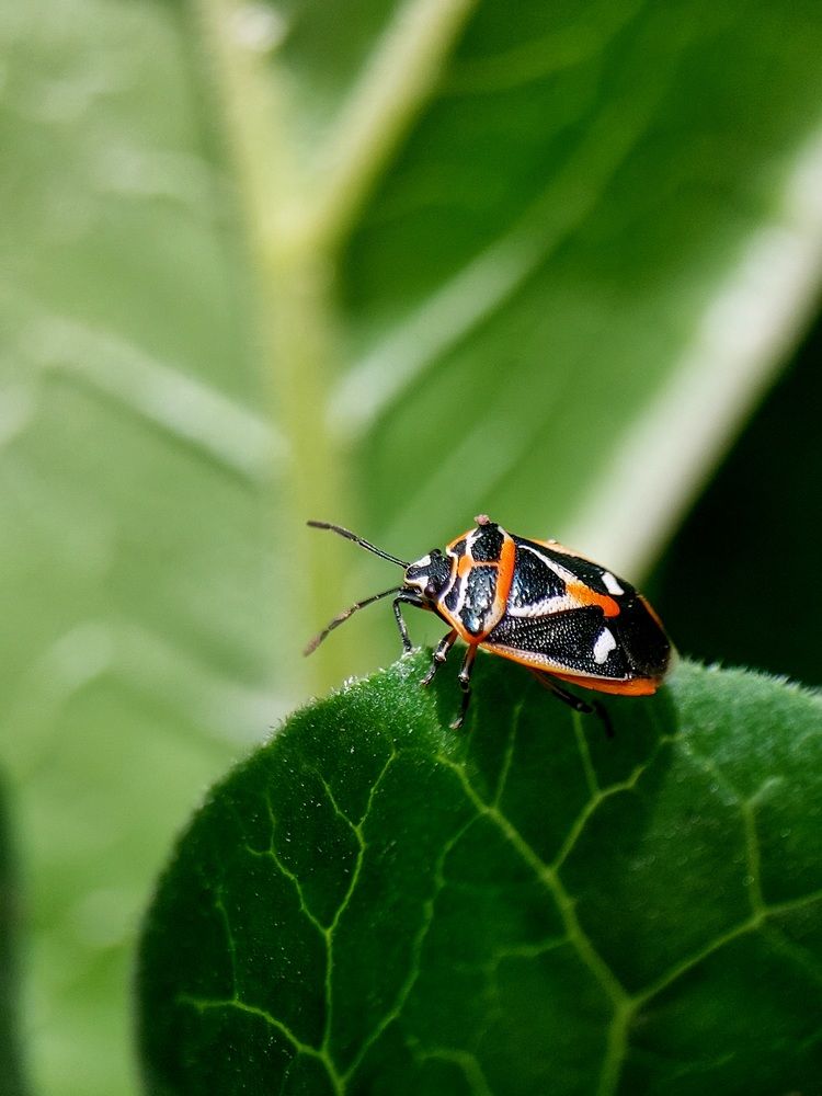 Photograph by Ксения Лукина