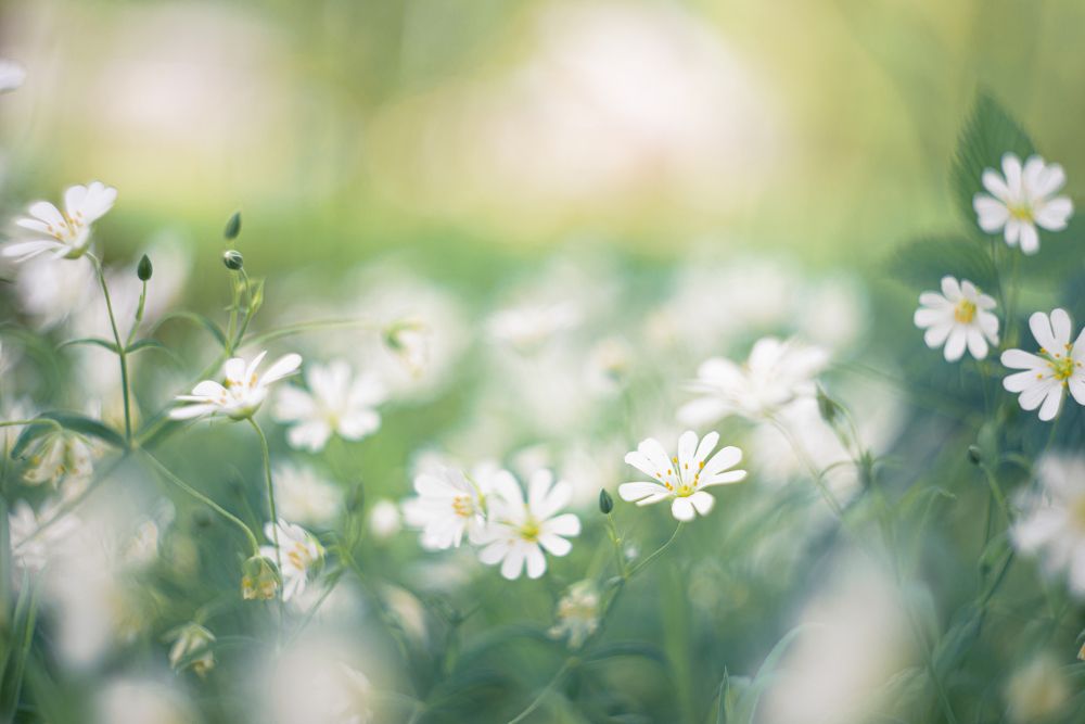 Photograph by Роман Павлов