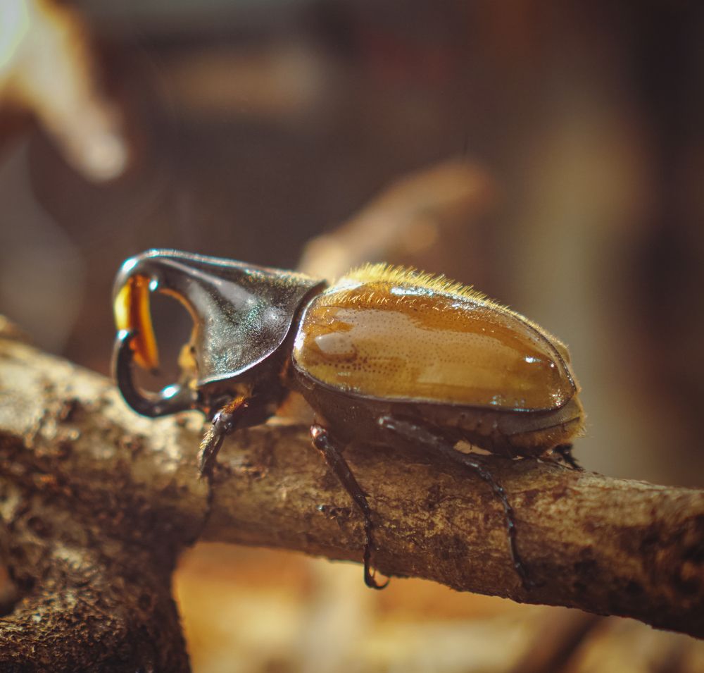 Photograph by Вера Кобченко