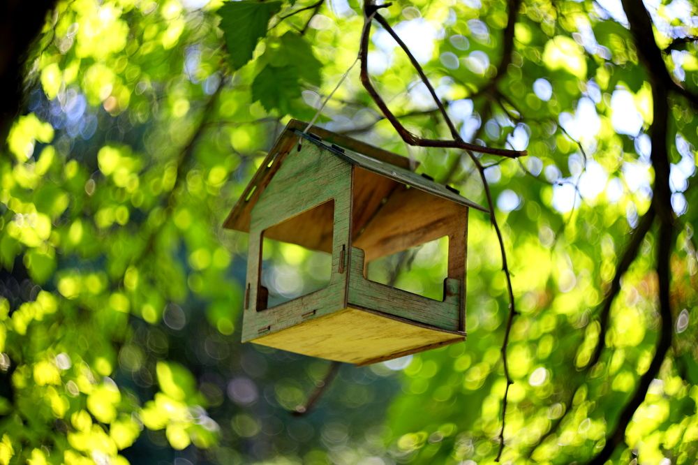 Photograph by Игорь Кад