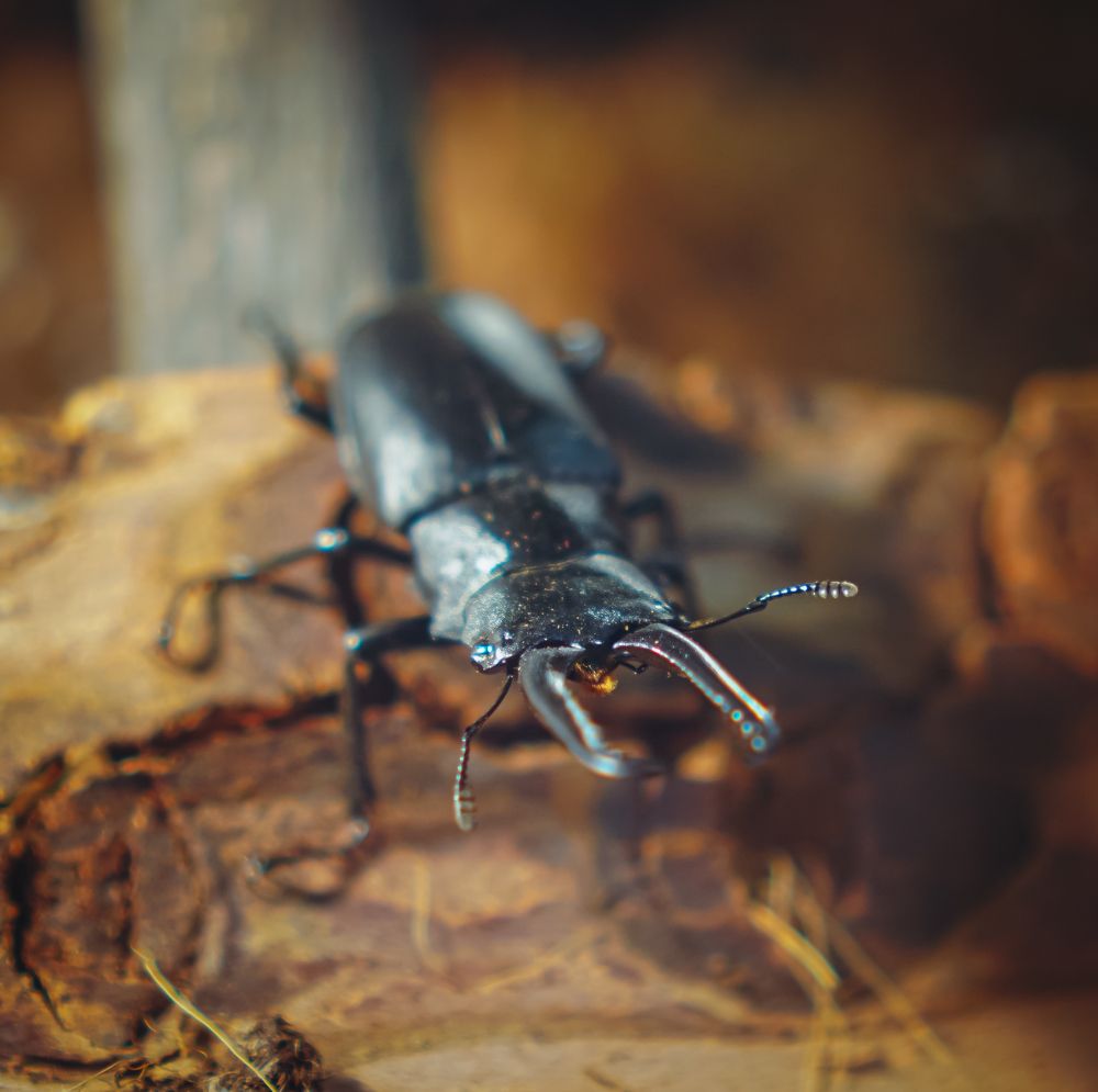 Photograph by Вера Кобченко